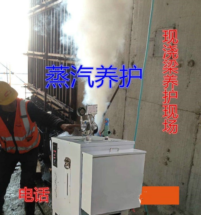 橋梁養護用電蒸汽發生器